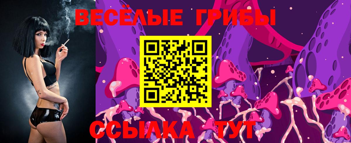 Псилоцибиновые грибы прущие грибы  Вход с VPN  Полысаево  Псилоцибиновые грибы GOLDEN TEACHER 